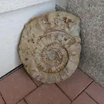 شقة Schneckenhaus