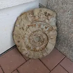 شقة Schneckenhaus Ofterdingen