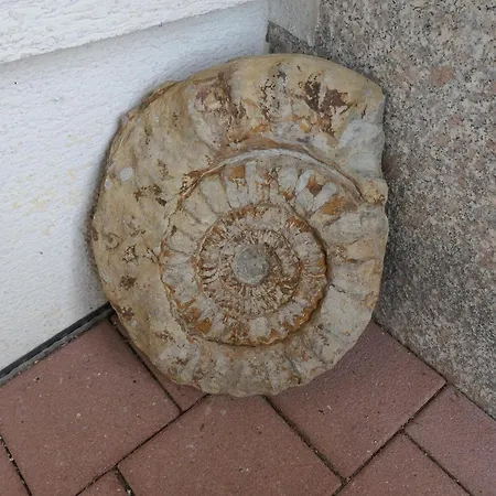 Appartement Schneckenhaus