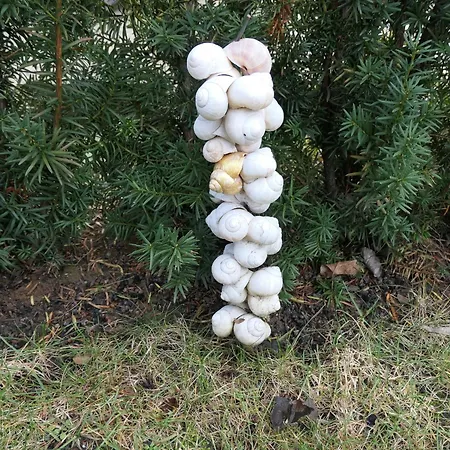 Appartement Schneckenhaus Ofterdingen